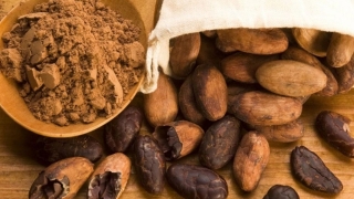 Uimitoarele beneficii ale untului de cacao pentru pielea ta