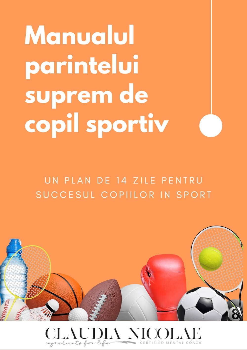 Manualul Părintelui Suprem