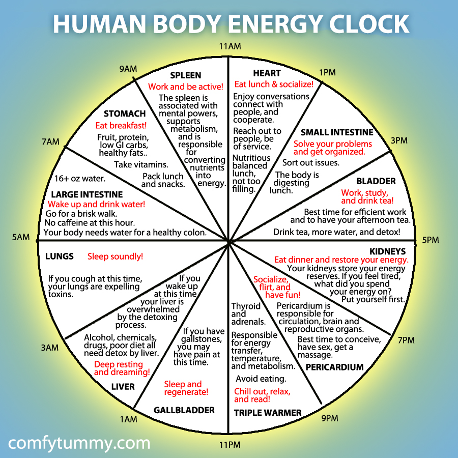 ceasul chinezesc al corpului uman